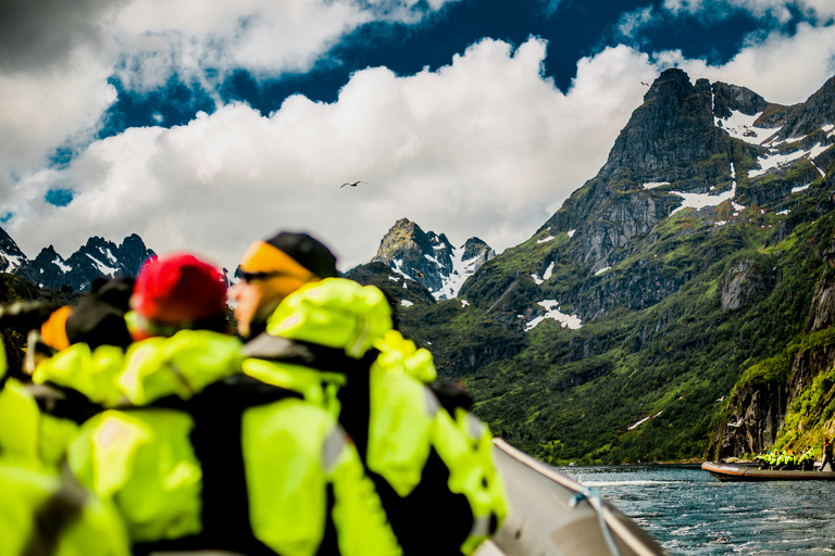 From Svolvaer: Sea Eagle Safari to Trollfjord