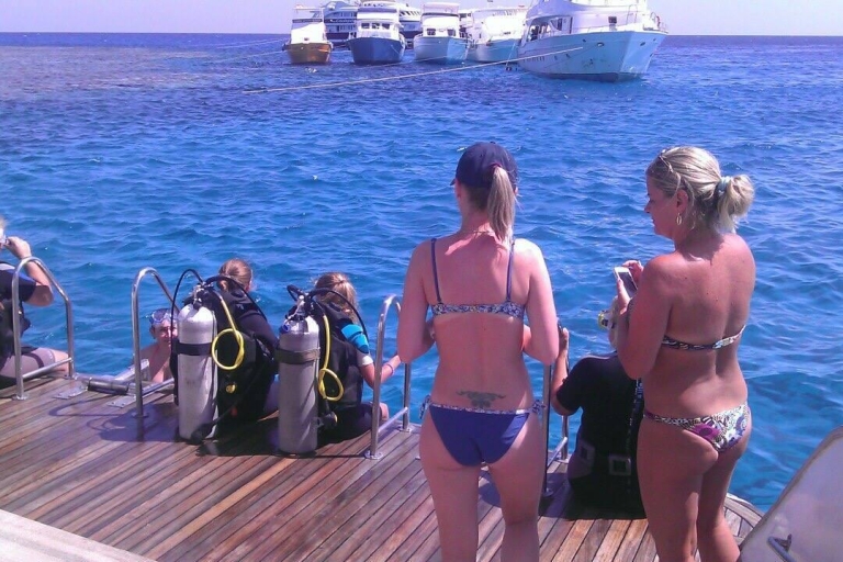 Hurghada: 1 or 2-Day Diving Package with Pickup and Meals 1-Day Package from Soma Bay