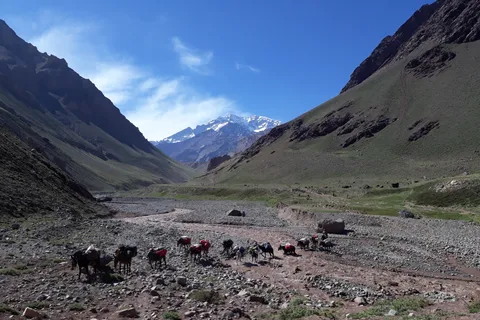 Mendoza: Mt. Aconcagua Confluencia Camp Trekking