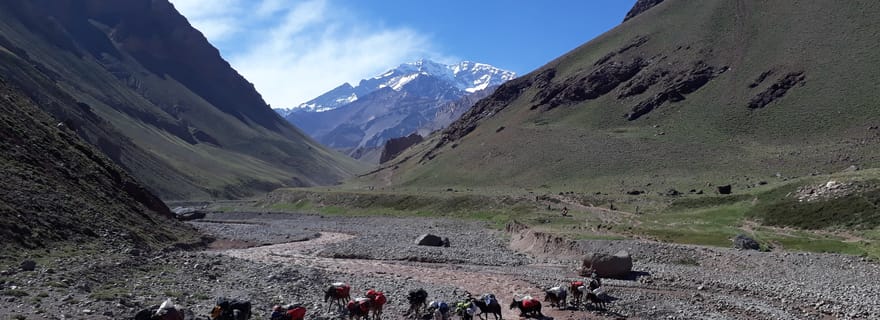 Mendoza : Trekking au camp de Confluencia du Mont Aconcagua