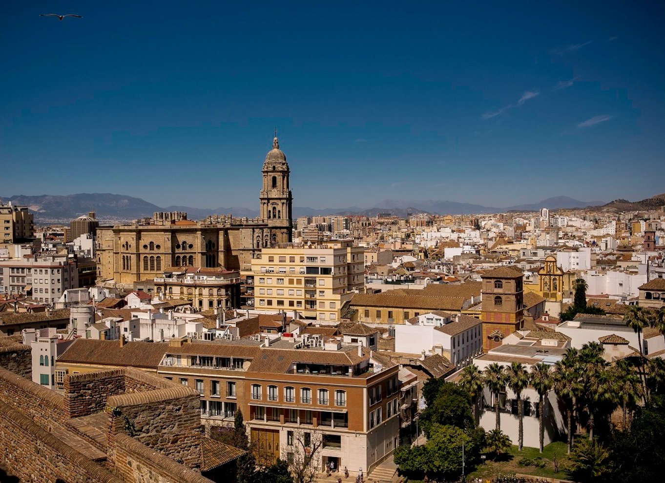 Málaga: 3-timers komplet byvandring med billetter