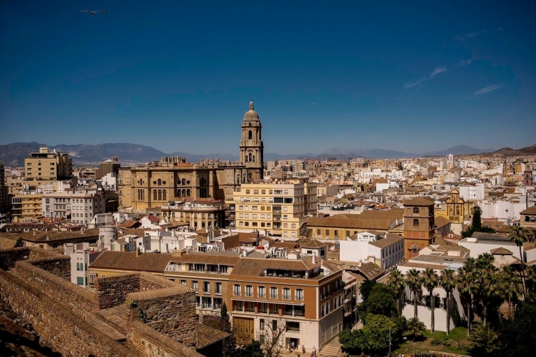 Málaga: complete wandeltocht van 3 uur met tickets3-uur durende wandeltocht door Málaga in het Engels