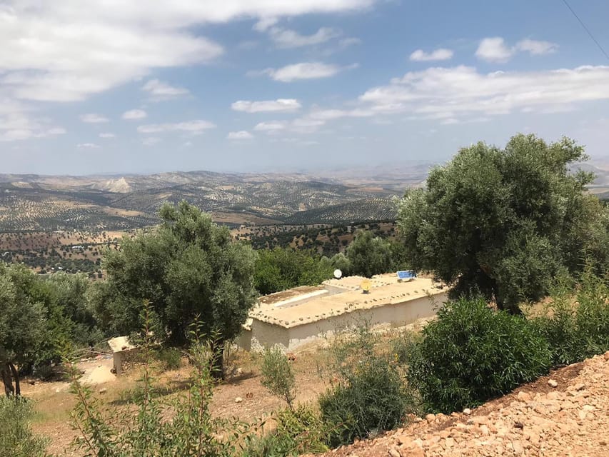 Fes: Private Hiking Experience Along the Zalagh Hillside | GetYourGuide