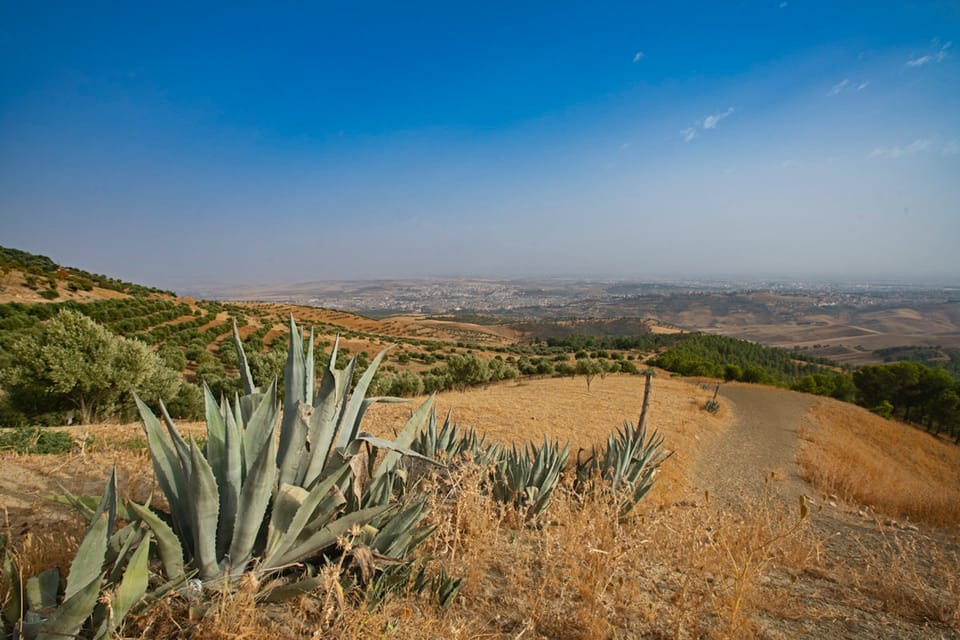 Fes: Private Hiking Experience Along the Zalagh Hillside | GetYourGuide