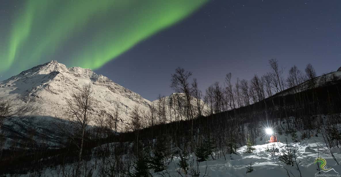 Tromsø: Northern Lights Small-Group Tour