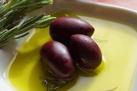 From Kalamata: Olive Oil Tasting in a Greek Olive Mill