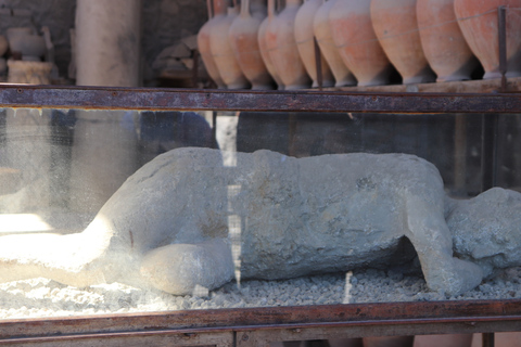 Desde Roma: Pompeya y Sorrento: Excursión de un día en grupo reducido