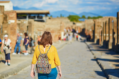 Vanuit Rome: dagtocht naar Pompeii en Sorrento in een kleine groep