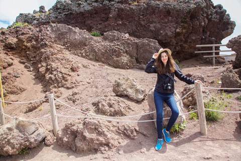 Da Roma: gita di un giorno a Pompei e Sorrento in un piccolo gruppo