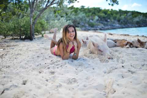 From Nassau: Exuma Swimming Pigs, Sharks and More