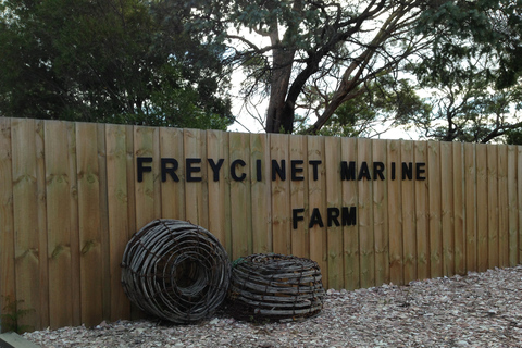 1 Day Launceston to Hobart via Wineglass Bay active day trip