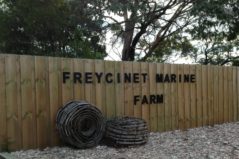 1 Day Launceston to Hobart via Wineglass Bay active day trip