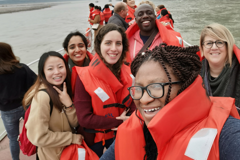 Chengdu: Leshan Buddha and Emeishan Guided 2-Day Trip