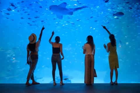 Phuket: Aquaria Phuket Tickets with Trick Eye Museum
