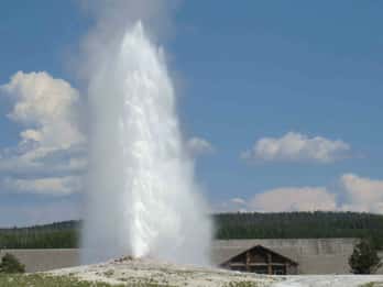 Ab West Yellowstone: Tagestour zum Yellowstone Park Ab West Yellowstone: Tagestour zum Yellowstone Park