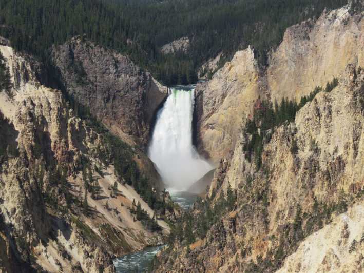 West Yellowstone Yellowstone Park Tour with Local Guide