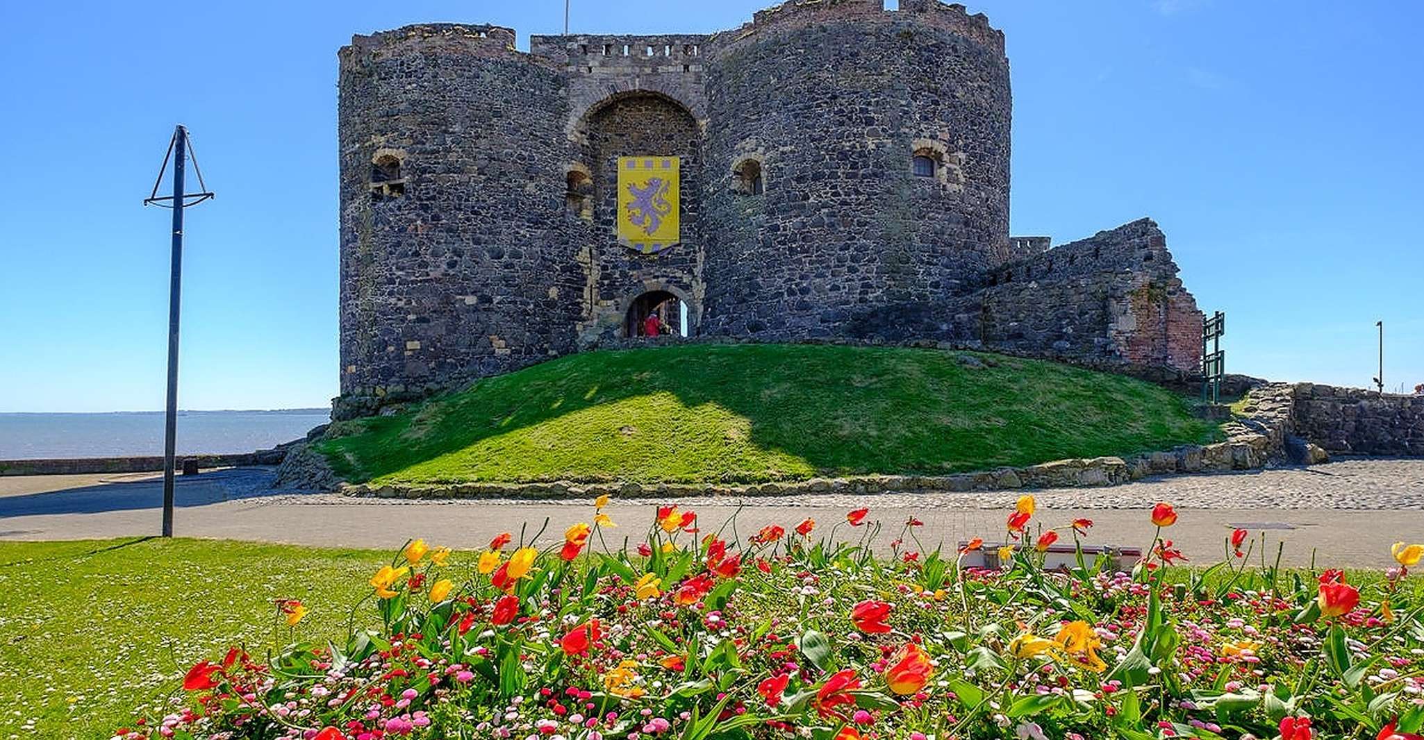 From Belfast, Giant's Causeway Guided Day Tour - Housity