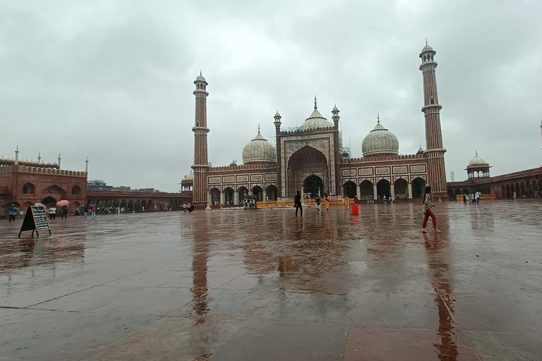 Nueva Delhi: Fuerte Rojo, Jama Masjid y Chandni Chowk con almuerzoTour por el Fuerte Rojo, Jama Masjid y Chandni Chowk