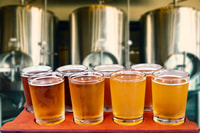 Poznan, Visite privée de dégustation de bière polonaise - Hizvo