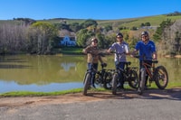 Da Città del Capo, tour e-bike di mezza giornata Winelands - Housity