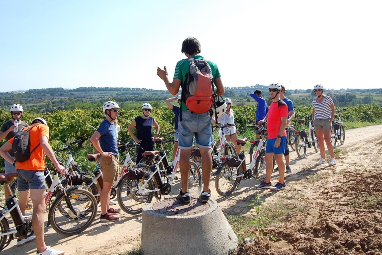 Barcelone: visite d'une demi-journée du vin et du vélo électrique