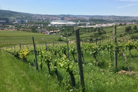 Stuttgart: VDP-wijntourGedeelde rondleiding