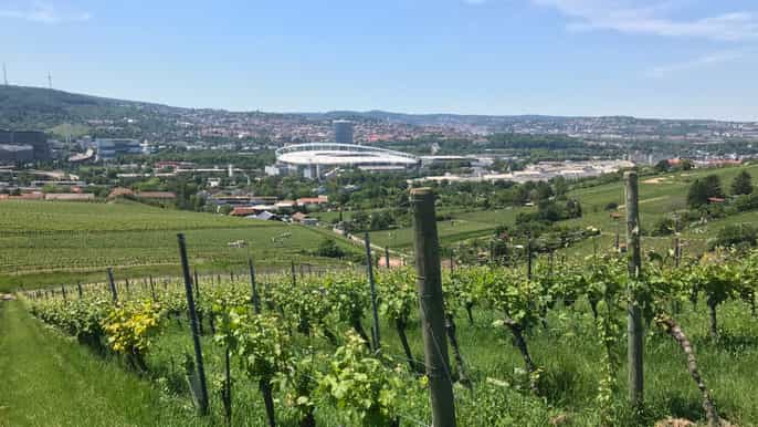 stuttgart vdpwine tour