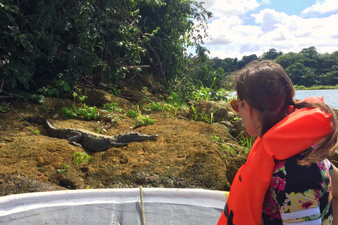 De Panama City: visite du lac Gatun et de l'île aux singes