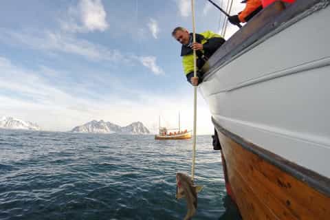 Cruises & boat tours