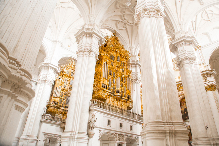 Granada: Kathedraal en Madrasah begeleide wandeltochtTour in het Spaans