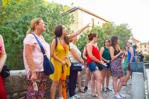 Granada: Albaicín and Sacromonte Guided Walking TourTour in Spanish