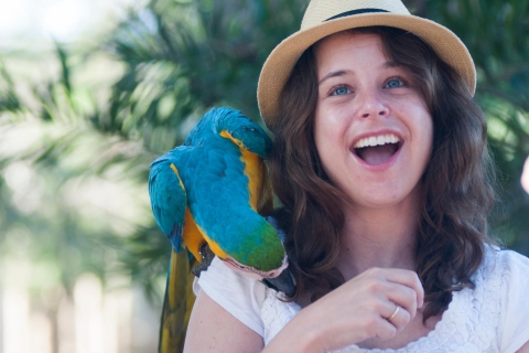 Cartagena: Tickets für das Nationale Vogelhaus KolumbiensTicket für kolumbianische Staatsbürger
