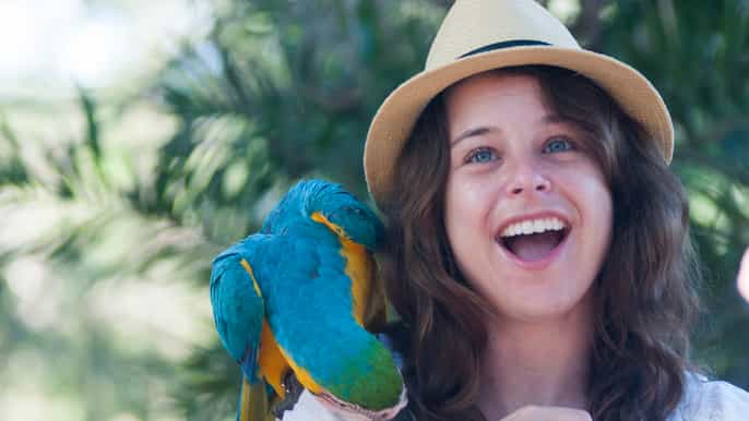 cartagena national aviary of colombia entrance tickets