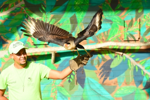 Cartagena: National Aviary of Colombia Entrance Tickets Tickets for Colombians
