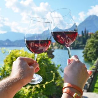 Lago de Como: visita a la bodega con cata de vinos