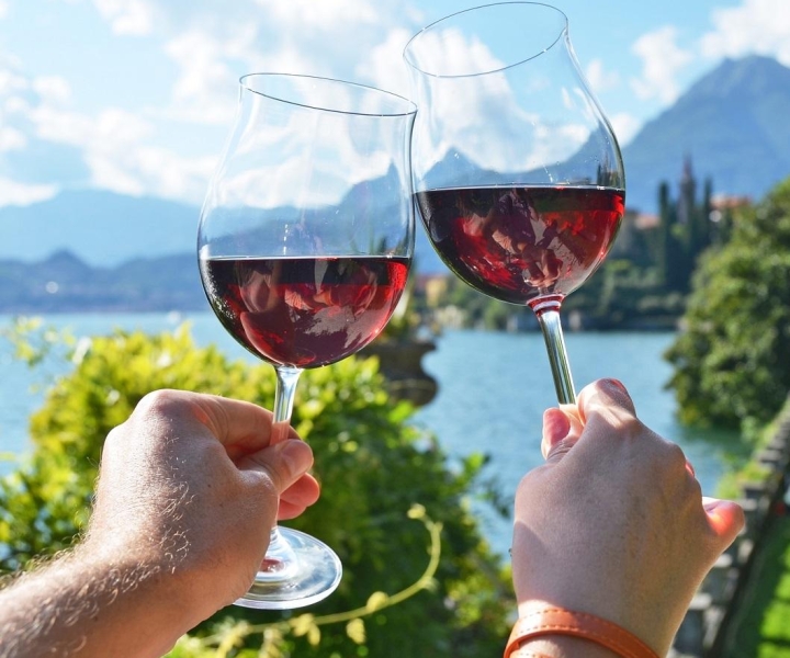 Lago de Como: Visita a una bodega con cata de vinos