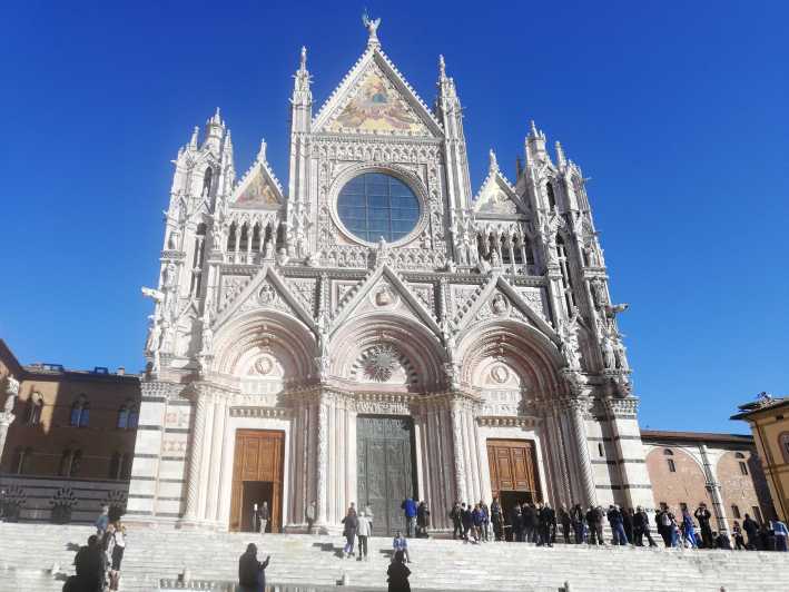 Siena: Walking Tour with Duomo or Contrade Museum Visit