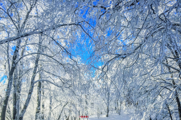 Sabaduri - Gudauri - Ananuri De beste winterdagtocht voor het hele gezinVanuit Tbilisi: Privé Sabaduri, Ananuri en Gudauri dagtocht