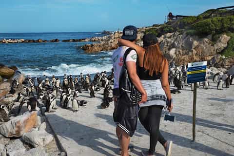 Cape Town: Table Mountain, Penguins & Cape Point Shared Tour