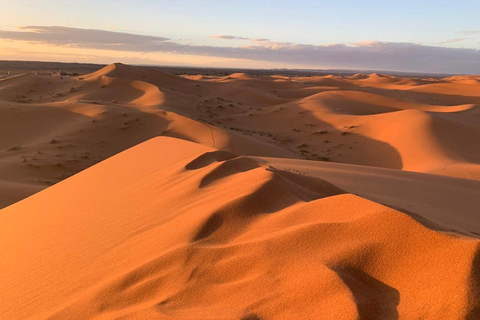 Z Marrakeszu: 3-dniowa wycieczka grupowa po pustyni Sahara