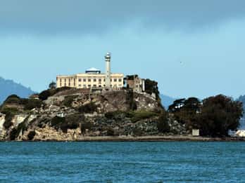 San Francisco: Alcatraz Island & Muir Woods Tagestour San Francisco: Alcatraz Island & Muir Woods Tagestour