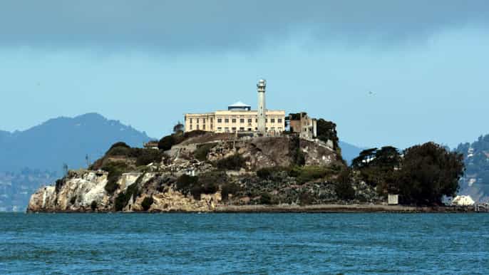san francisco alcatraz island muir woods tagestour