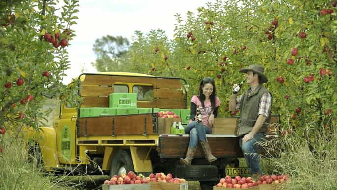 leura halfday bilpin tour sightseeing and cider tasting