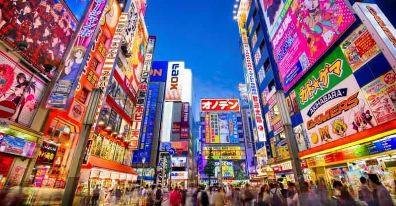 Tokyo: Winter Illuminations Private Tour with a Local