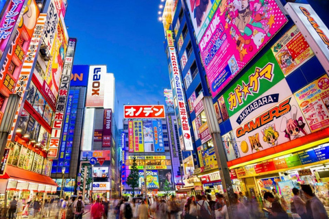 Tokyo: Winter Illuminations Private Tour with a Local