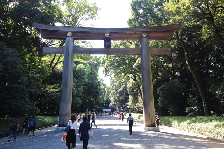 Tokyo Custom Private Walking Tour mit lizenziertem Guide (4/8h)Private 4-stündige Tour