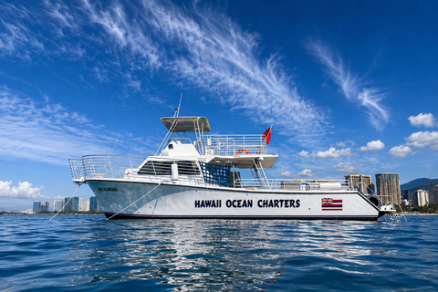 Oahu: Waikiki Turtle Canyon Snorkeling Tour (Small group) Waikiki: Sea Turtle Snorkel (Small group 20 People Max)