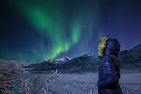 Tromsø : Visite guidée des aurores boréales en busTromsø : chasse aux aurores boréales en espagnol