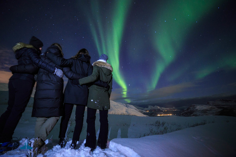 Tromsø: Northern Lights Guided Bus Tour Tromsø: Northern Lights Chase in Spanish