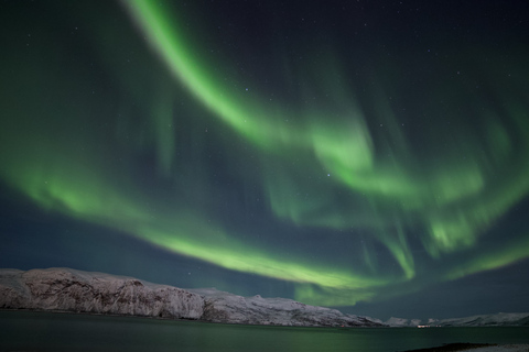 Tromsø : Visite guidée des aurores boréales en busTromsø : chasse aux aurores boréales en espagnol